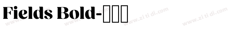 Fields Bold字体转换
